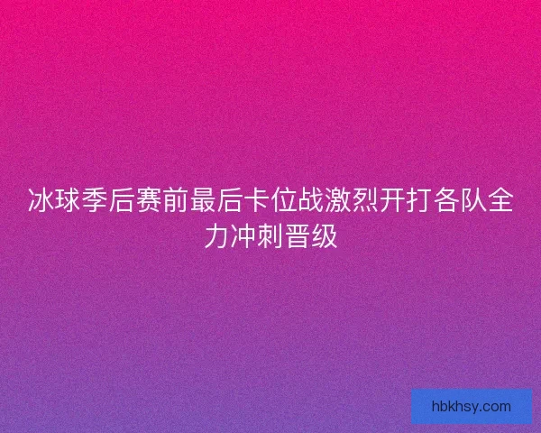 冰球季后赛前最后卡位战激烈开打各队全力冲刺晋级